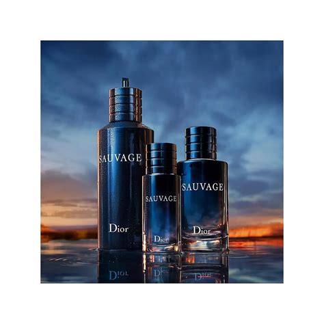 dior sauvage big bottle|sauvage cheapest price.